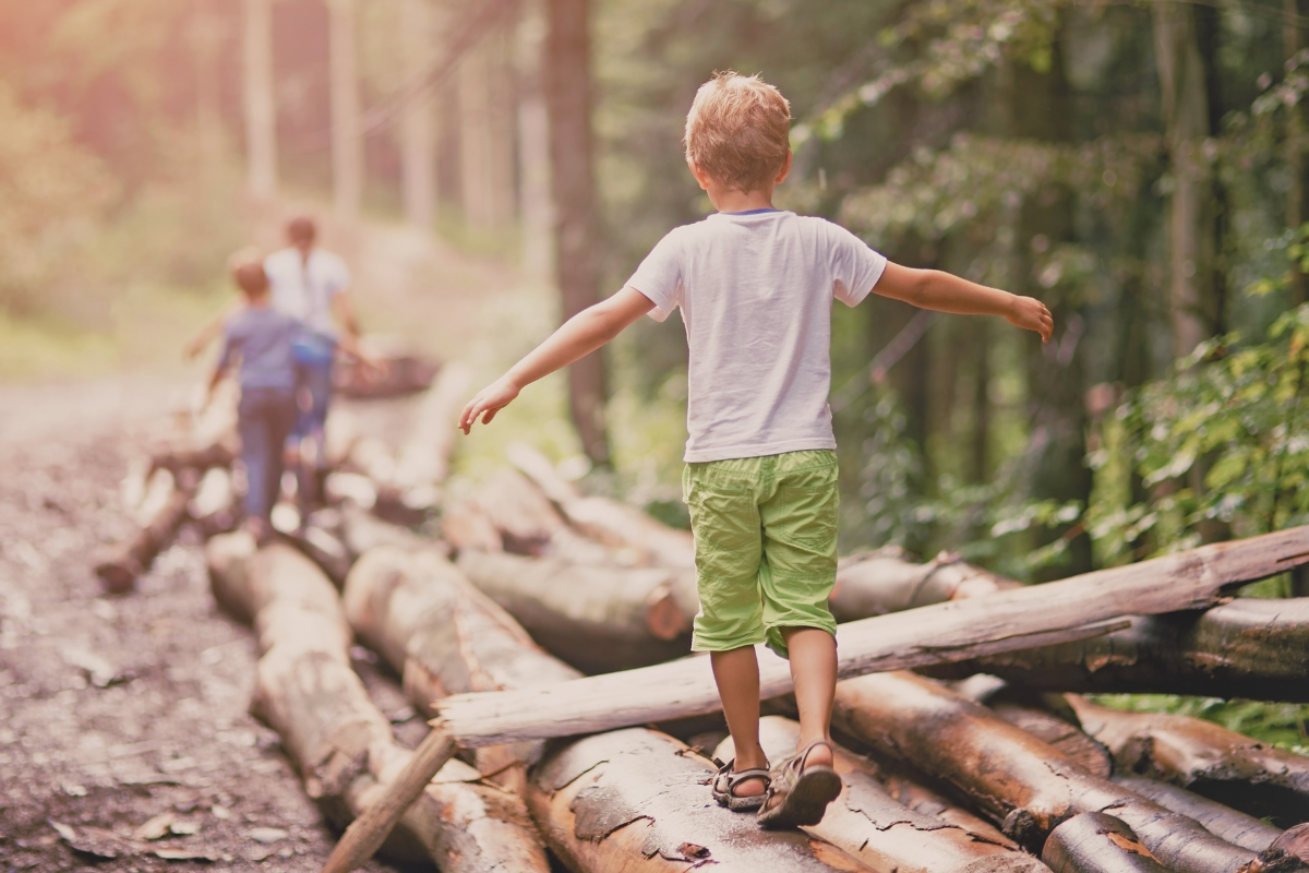 A boy balancing on the tree